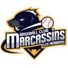 Logo of the association Marcassins Baseball Club